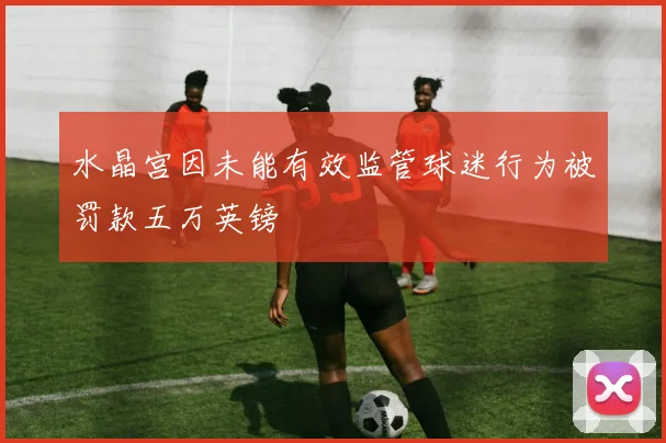 水晶宫因未能有效监管球迷行为被罚款五万英镑